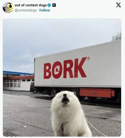 bork.png