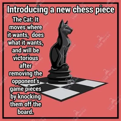 cat_at_chess.png