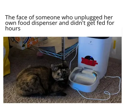 unplugged_feeder.jpg